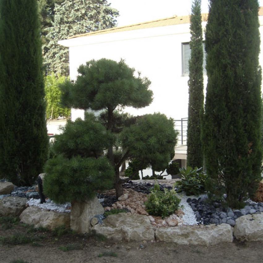 Aménagement extérieur